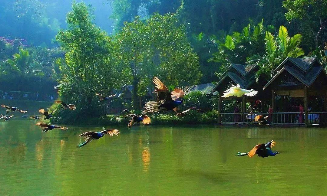 “空心村”成了“网红村”